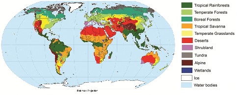 Which biome is yours?