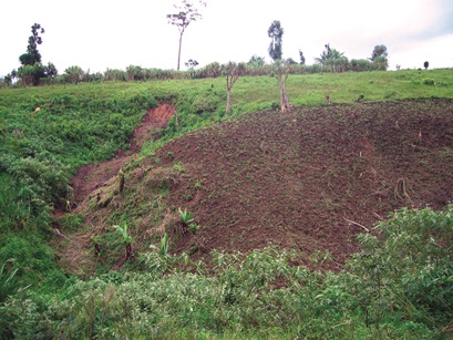 deforestation and erosion