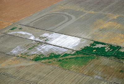 A Field Showing Salt Accumulation