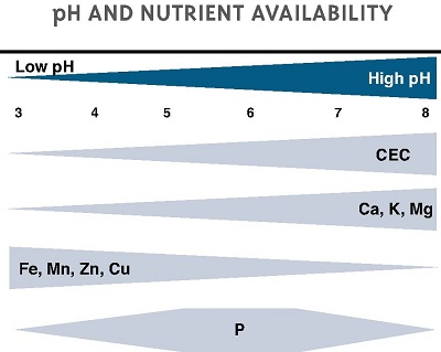 soil pH and plants