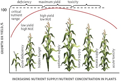 nutrient response curve