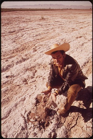 salinity in a field in Mexico