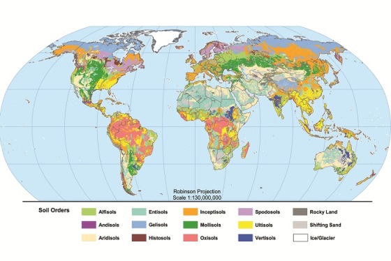 Major Soil Orders