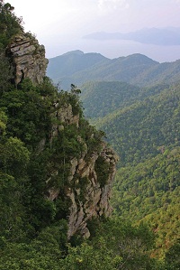 limestone cliffside